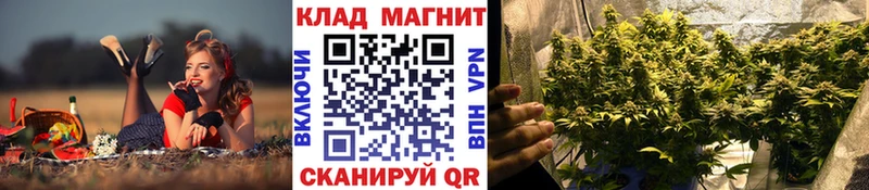 ГАШ Малая Вишера