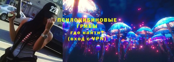 первитин Богородицк