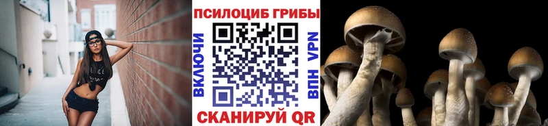 Галлюциногенные грибы ЛСД Малая Вишера
